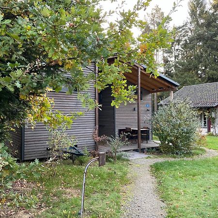 Modernes Tinyhouse Trailer Cabins Am Waldrand - Mit Seezugang Эгинг Экстерьер фото